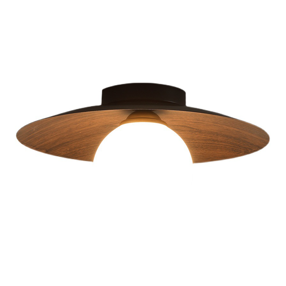 Minimalist Modern Entrance Ceiling Lights