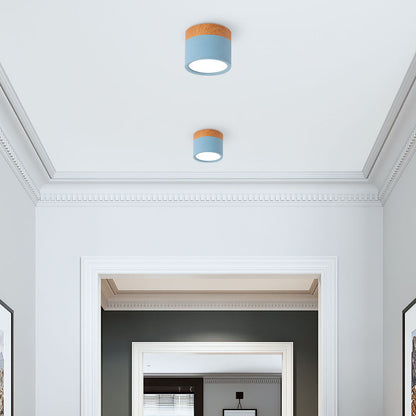Modern Cylinder Small Flush Mount Ceiling Light