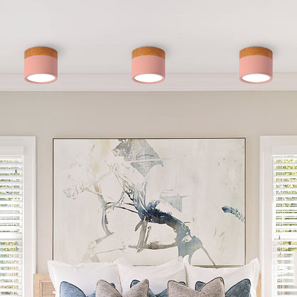 Modern Cylinder Small Flush Mount Ceiling Light