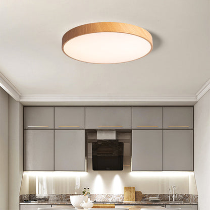 Concise Modern Wrought Iron Ceiling Light