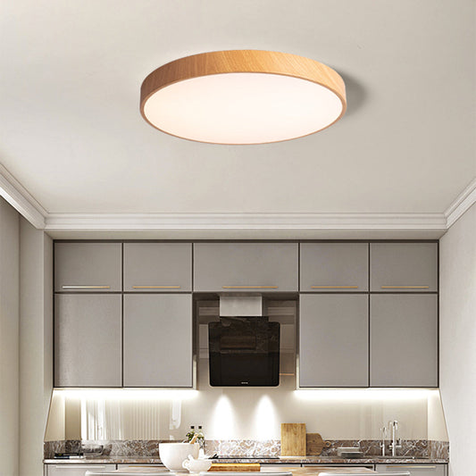 Concise Modern Wrought Iron Ceiling Light