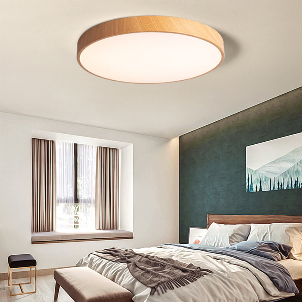 Concise Modern Wrought Iron Ceiling Light