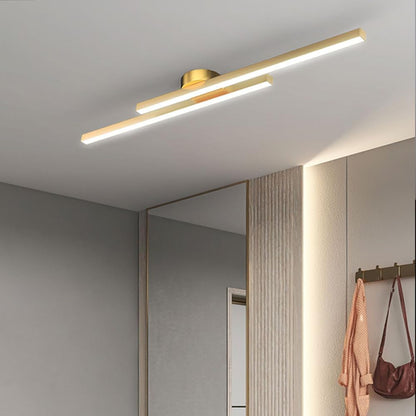 Living Room Minimalist LED Ceiling Lights