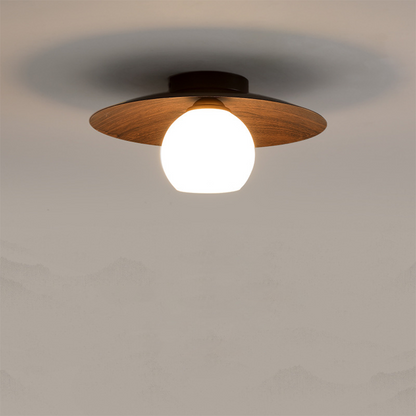 Minimalist Modern Entrance Ceiling Lights
