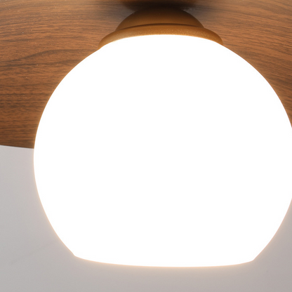 Minimalist Modern Entrance Ceiling Lights
