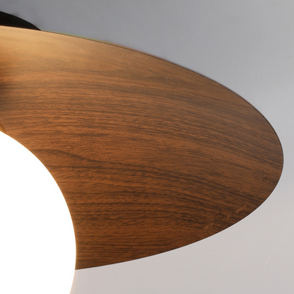 Minimalist Modern Entrance Ceiling Lights