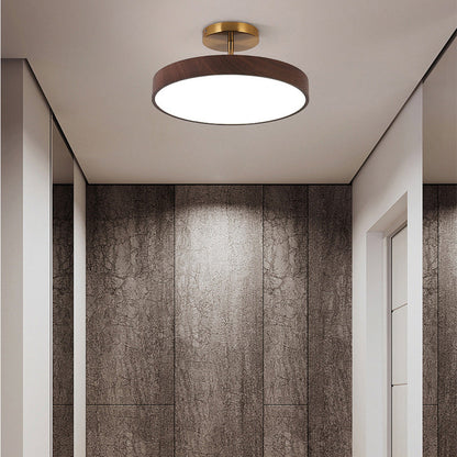 Modern LED Semi-Flush Ceiling Lamp