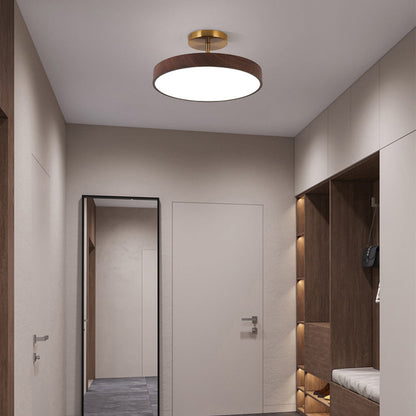 Modern LED Semi-Flush Ceiling Lamp