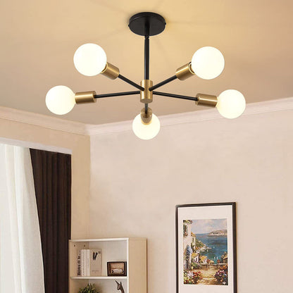 Elegance Simple Living Room Ceiling Light