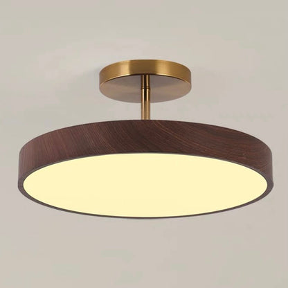 Modern LED Semi-Flush Ceiling Lamp