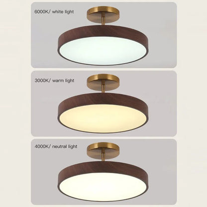Modern LED Semi-Flush Ceiling Lamp