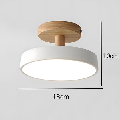 Modern Iron Round Hallway LED Ceiling Lights