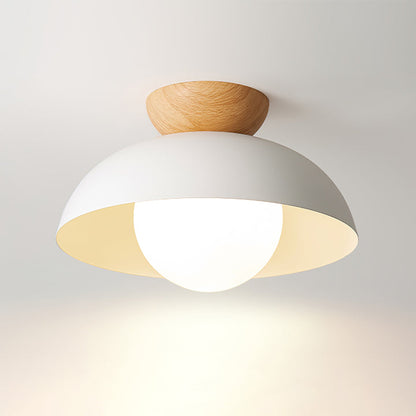 Nordic Minimalist Eco-Friendly Ceiling Light